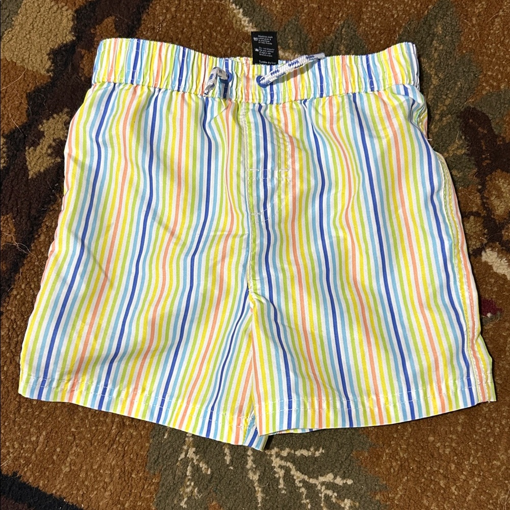 George Multicolor Striped Shorts